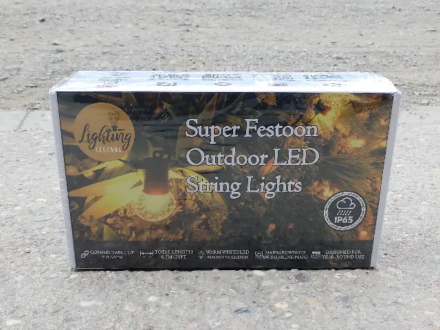 hire festoon lights 
