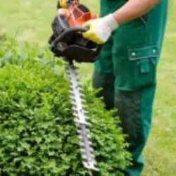 Hedge Cutters for hire