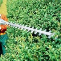 Hedge trimmers hire